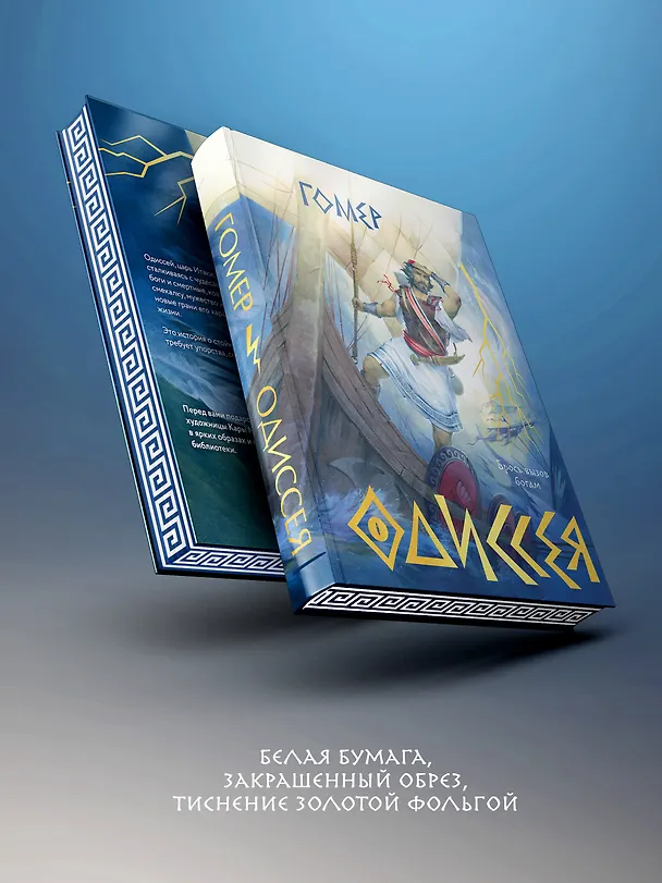 Книга Одиссея (Гомер) — 8