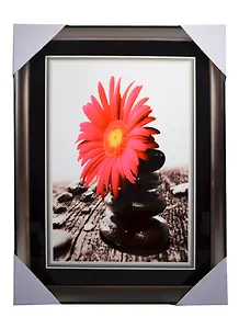 Картина Красная гербера на камнях (31х41) (831915)