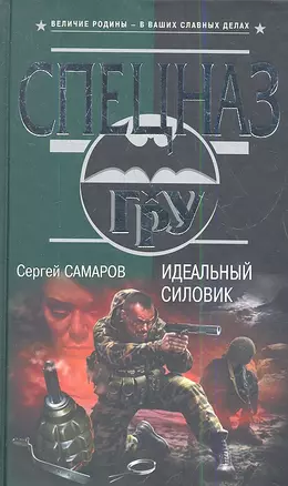 Идеальный силовик: роман — 2344244 — 1