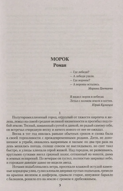 Книга Морок (Михаил Щукин) — 3