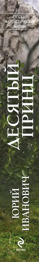 Книга Десятый принц (Юрий Иванович) — 3