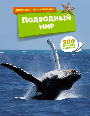 Подводный мир — 3025205 — 1