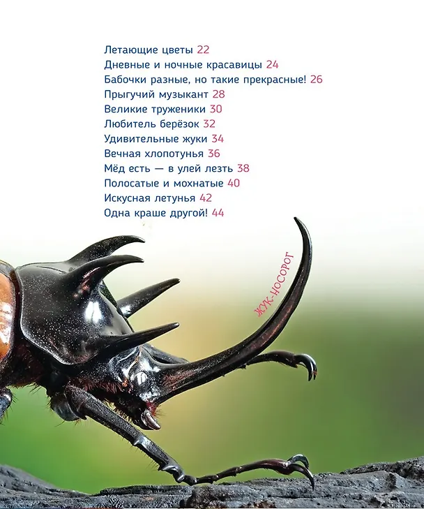 Книга Насекомые (Лариса Клюшник) — 3