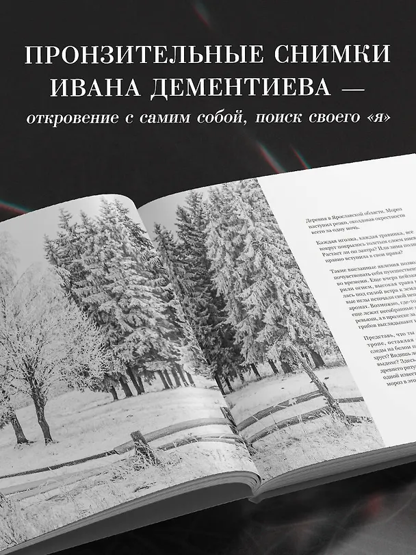 Книга Монохром. Пронзительная красота России в черно-белых фотографиях Ивана Дементиевского (Иван Дементиевский) — 7
