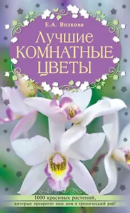 Лучшие комнатные цветы