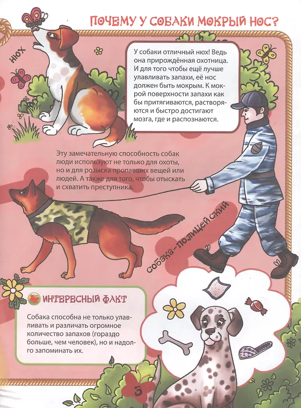 Книга Домашние животные () — 2