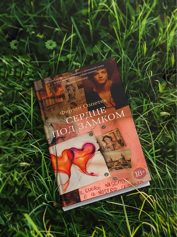 Книга Сердце под замком (Ферзан Озпетек) — 9
