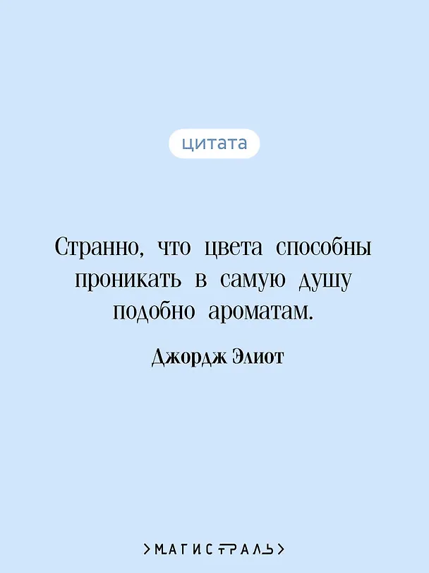 Книга Мидлмарч (Джордж Элиот) — 8