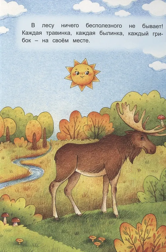 Книга Кому нужен мухомор? (Татьяна Кирюшатова) — 5