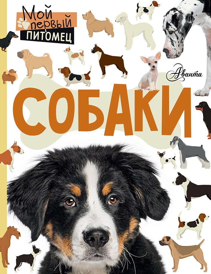 

Собаки