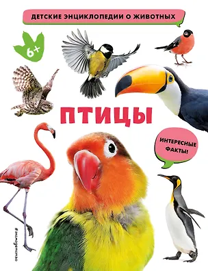 Книга Птицы ()