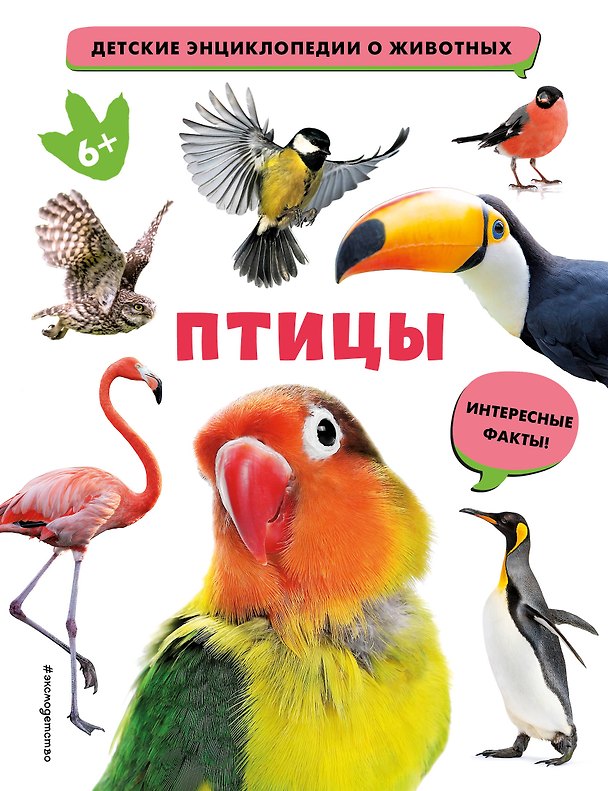 Книга Птицы () — 1