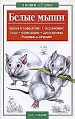 Белые мыши — 1811005 — 1