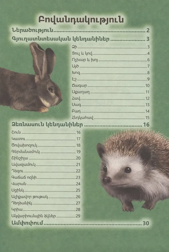 Книга В мире знаний. Домашние животные (на армянском языке) () — 2