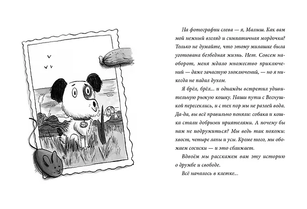 Книга Малыш и Веснушка (Катрин Поше) — 2