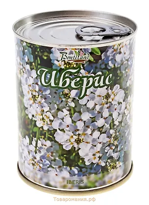 Цветок в банке "Иберис" (77010) 2371557