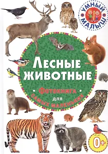 Лесные животные. Фотокнига для самых маленьких