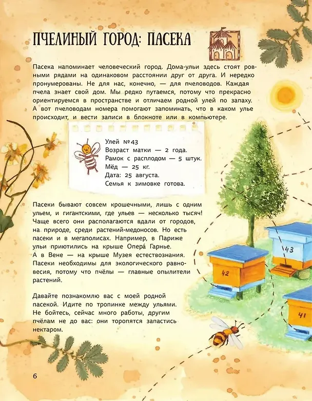 Книга Ж-ж-жизнь пчёл, рассказанная ими самими (Надежда Фещенко) — 8