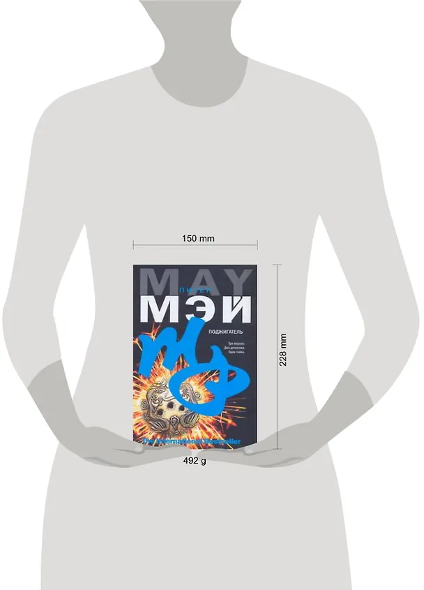 Книга Поджигатель (Питер Мэй) — 2