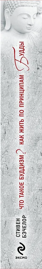 Книга Что такое буддизм? Как жить по принципам Будды (Стивен Бэчелор) — 3