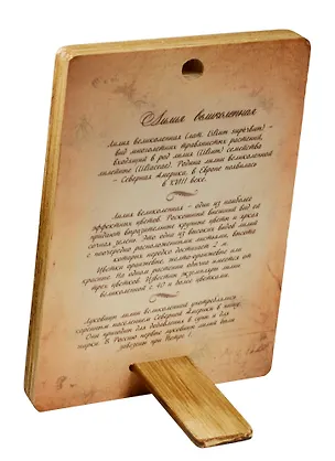 Плакетка Лилия Великолепная (1РВ_013) (18х12) 2549541