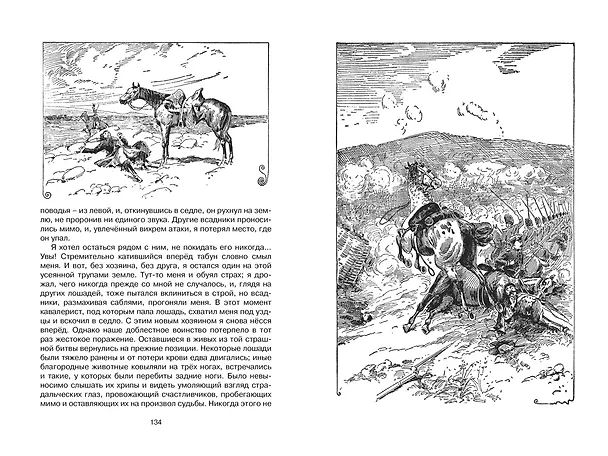 Книга Чёрный Красавчик (Анна Сьюэлл) — 11