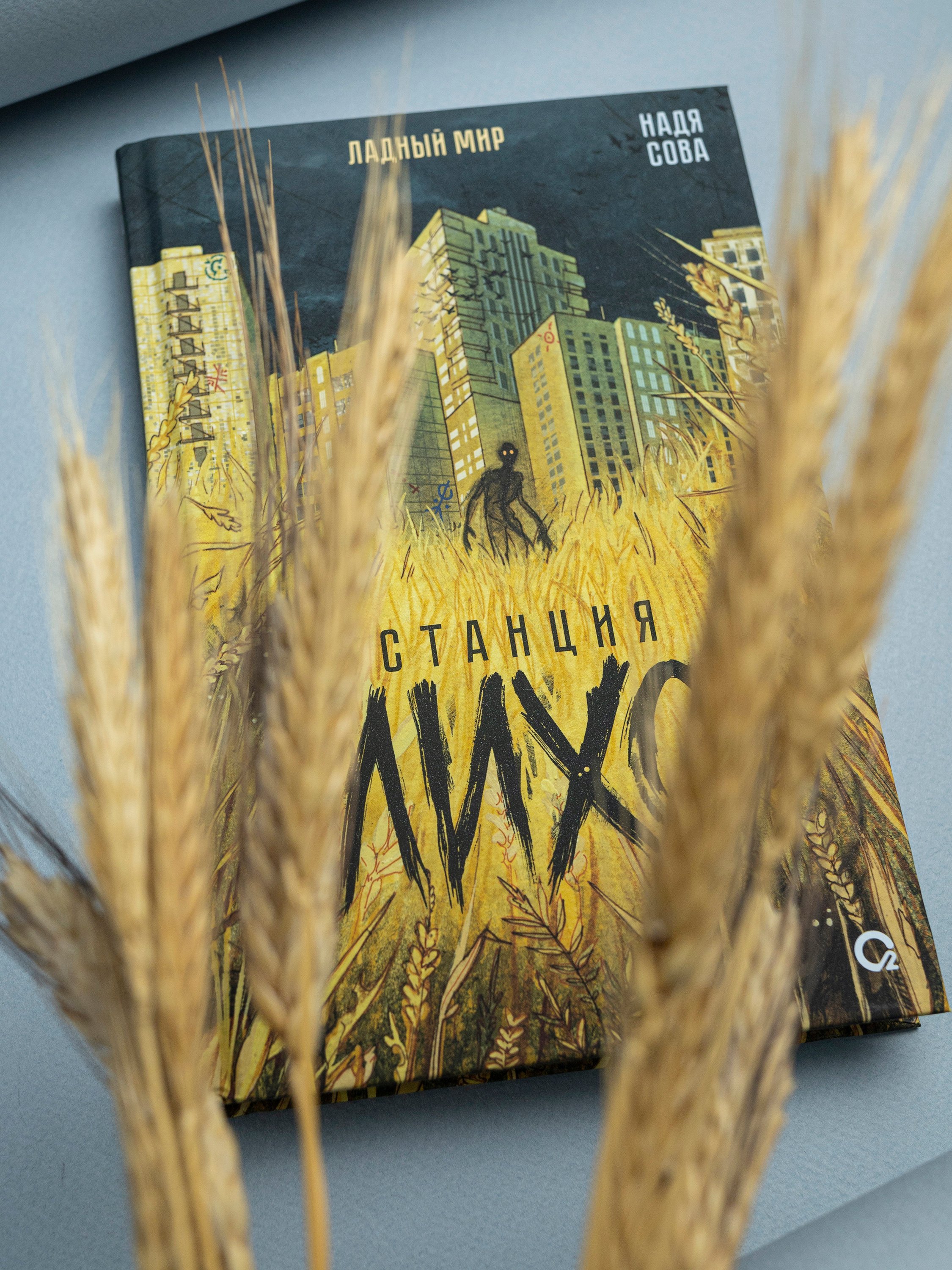 Изображение бумажной книги