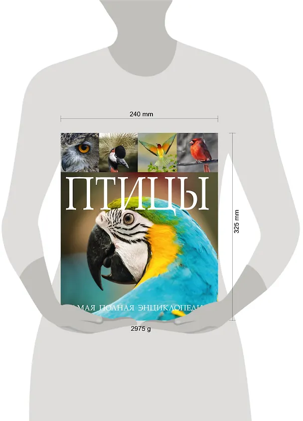 Книга Птицы. Самая полная энциклопедия () — 4