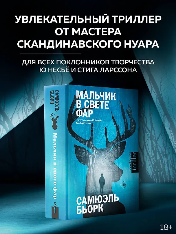 Книга Мальчик в свете фар (Самюэль Бьорк) — 5