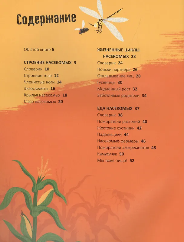 Книга 30 секунд. Насекомые за 30 секунд (Анна Клейборн, Уэсли Робинс) — 2