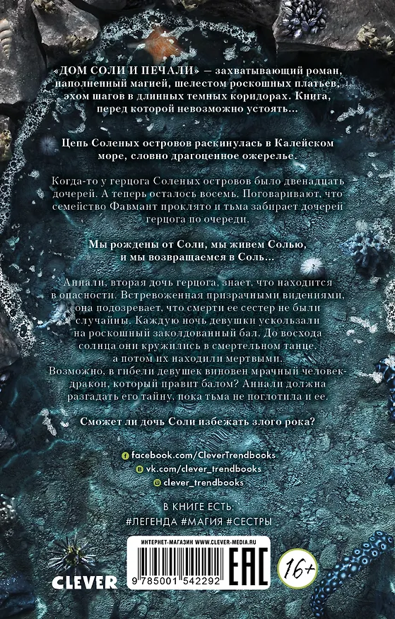 Книга Дом соли и печали (Эрин Крейг) — 2