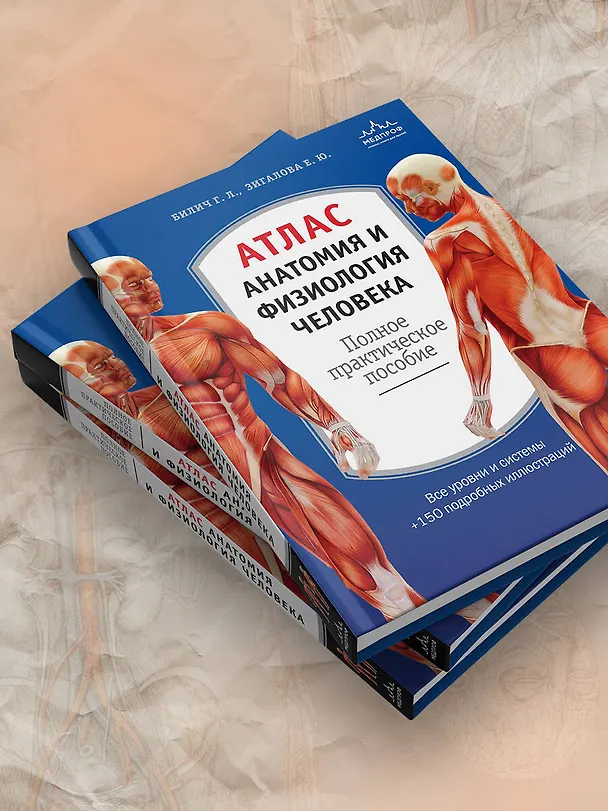 Книга Атлас. Анатомия и физиология человека: полное практическое пособие. 2-е издание, дополненное (Елена Зигалова, Габриэль Билич) — 9