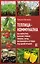 Теплица-коммуналка. Как вырастить высокие урожаи томатов, перца, баклажанов и огурцов под одной крышей — 2776881 — 1