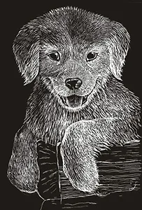 Игра Царапка мал. "Дружок"