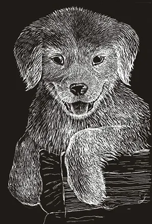 Игра Царапка мал. "Дружок" 2274282