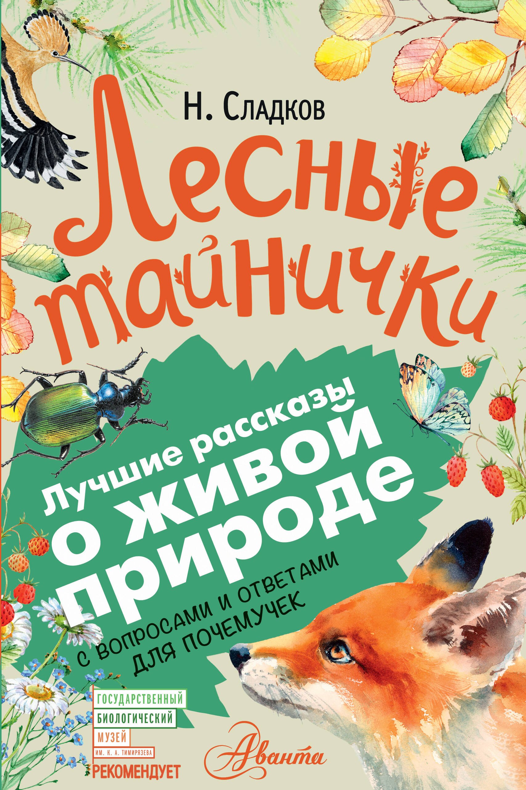 

Лесные тайнички