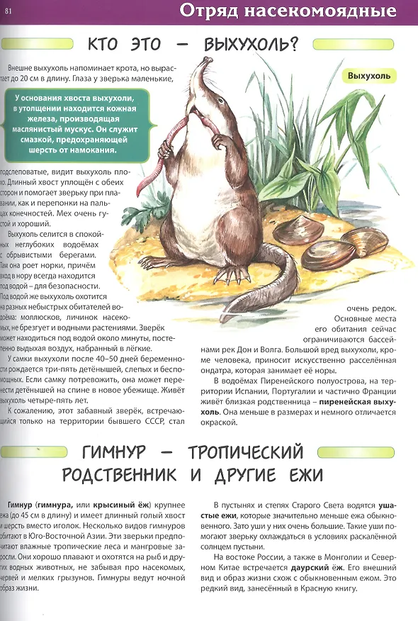 Книга Животные. Детская энциклопедия (С. Рублев) — 6