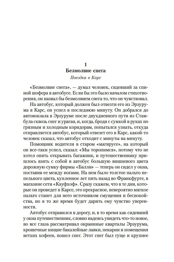 Книга Снег (Орхан Памук) — 12