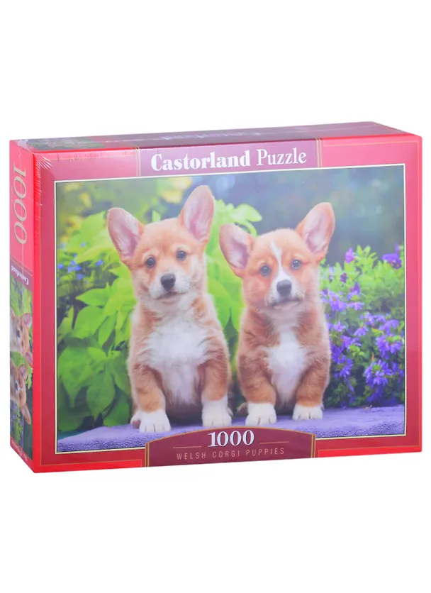 Пазл «Щенки корги» 1000 элементов, Castorland 2867495 — 1