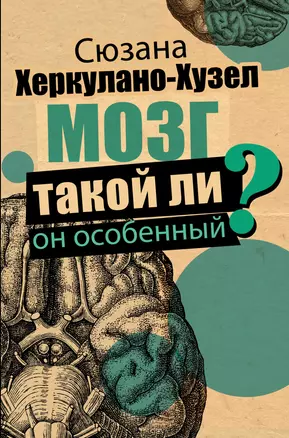 Мозг. Такой ли он особенный? — 2758884 — 1