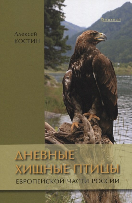 

Дневные хищные птицы европейской части России