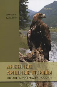 Дневные хищные птицы европейской части России