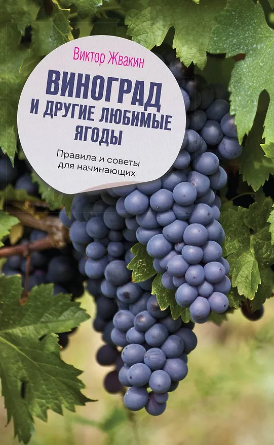 Книга Виноград и другие любимые ягоды. Правила и советы для начинающих (Виктор Жвакин) — 1