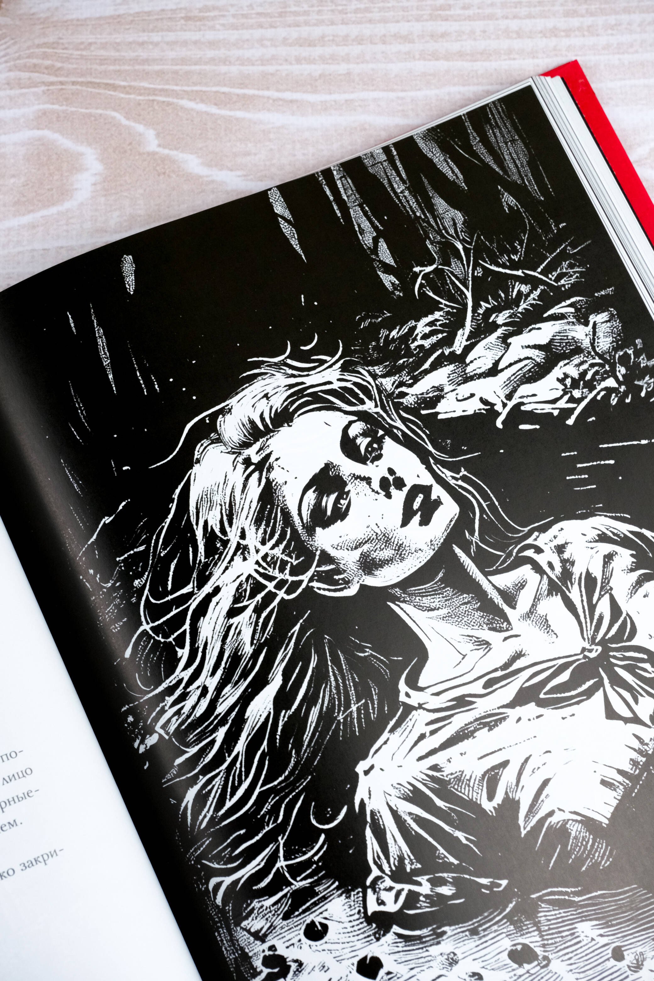 Изображение бумажной книги