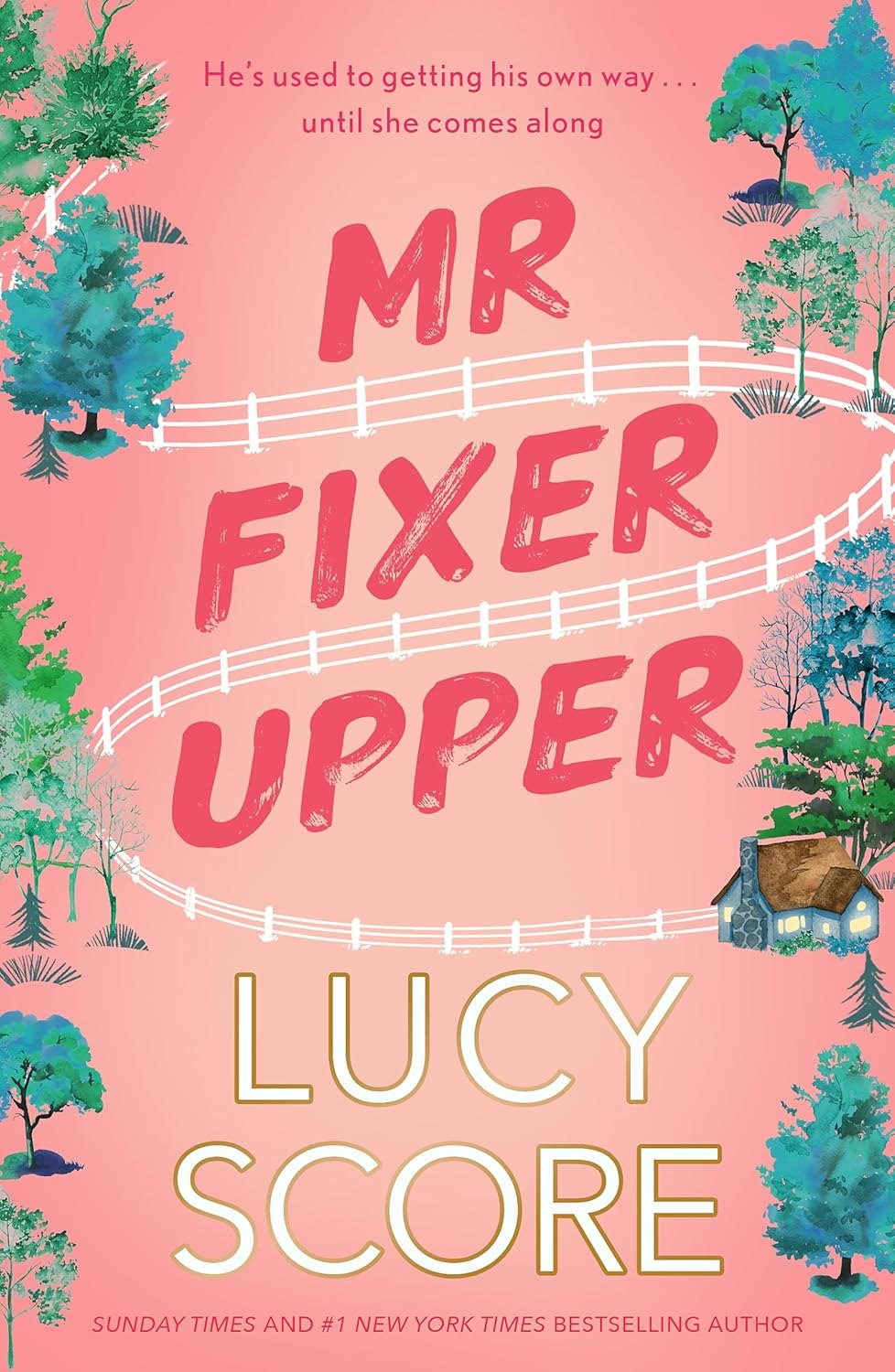 

Mr. Fixer Upper