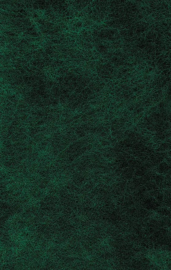 Книга Франкенштейн: роман (Мэри Шелли) — 2