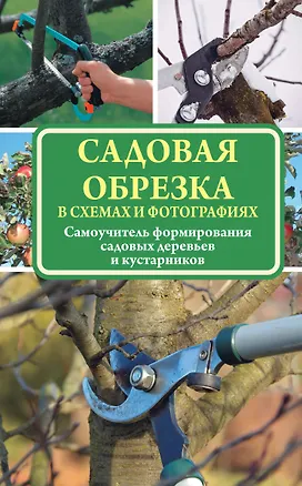 Книга Садовая обрезка в схемах и фотографиях (Ирина Окунева)