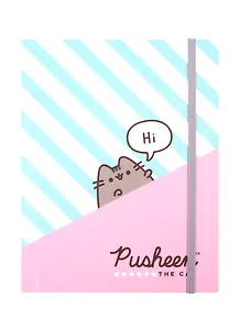 Записная книжка А6 96л "Pusheen" 7БЦ, мат.ламинация, резинка