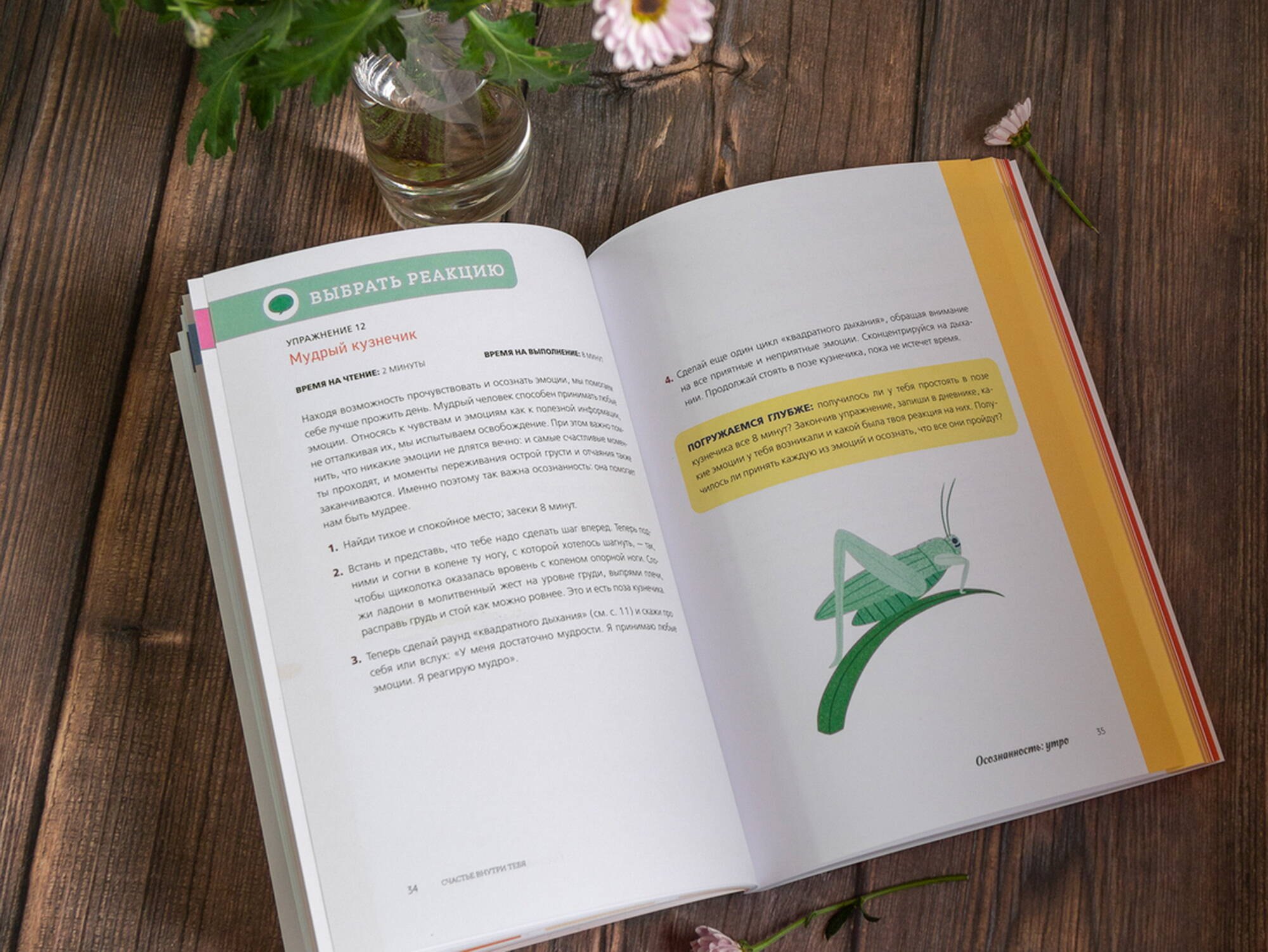 Изображение бумажной книги