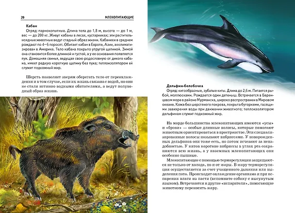 Книга Млекопитающие. Узнай мир (Юлия Дунаева) — 5
